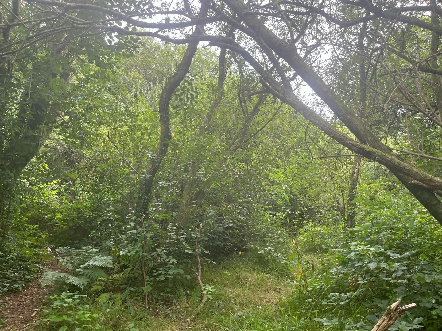 Land Rear of Heol Faen, Mission Road Maesteg, CF34 0ND